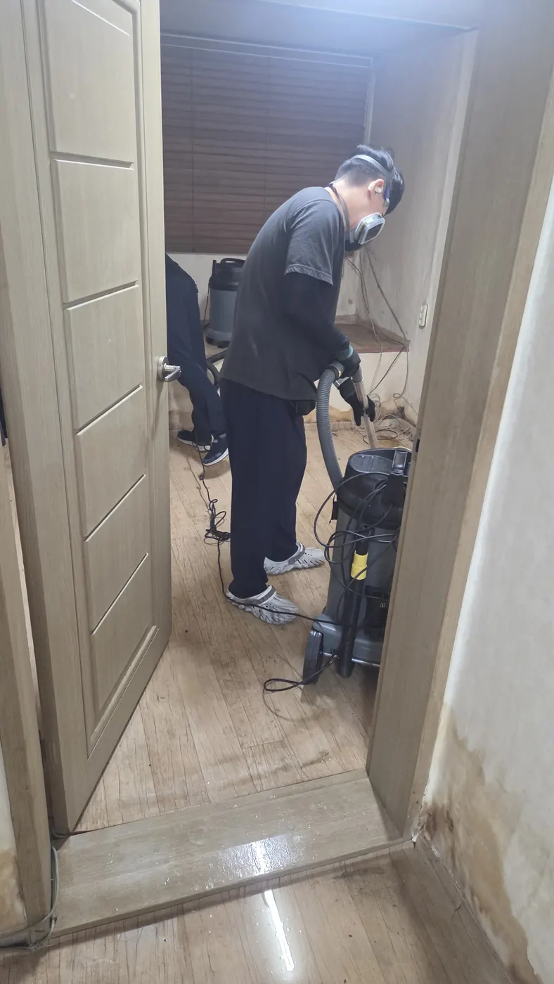 오염 제거 — 대구광역시 침수청소 현장